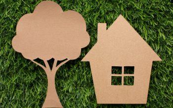 Come aggiungere un tocco di sostenibilità alla tua casa