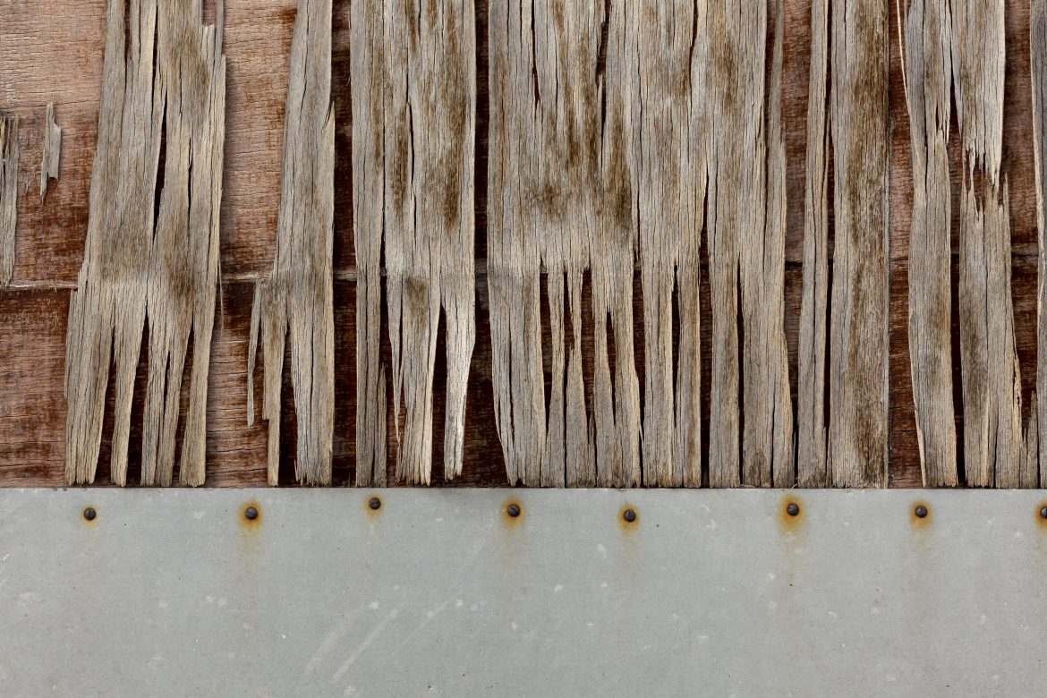 Il Tuo Legno è Al Sicuro? Come Identificare e Combattere i Tarli