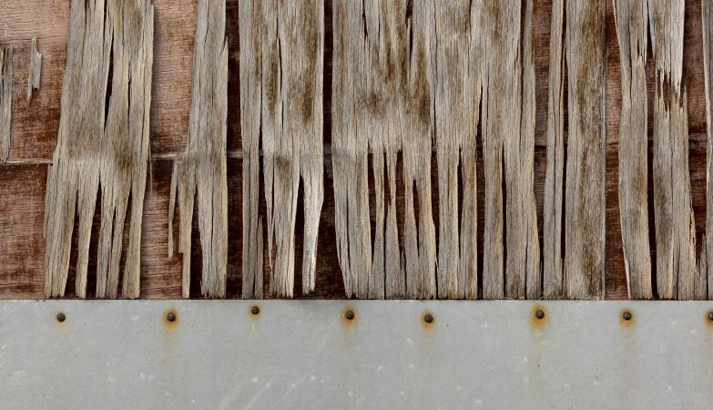 Il Tuo Legno è Al Sicuro Come Identificare e Combattere i Tarli